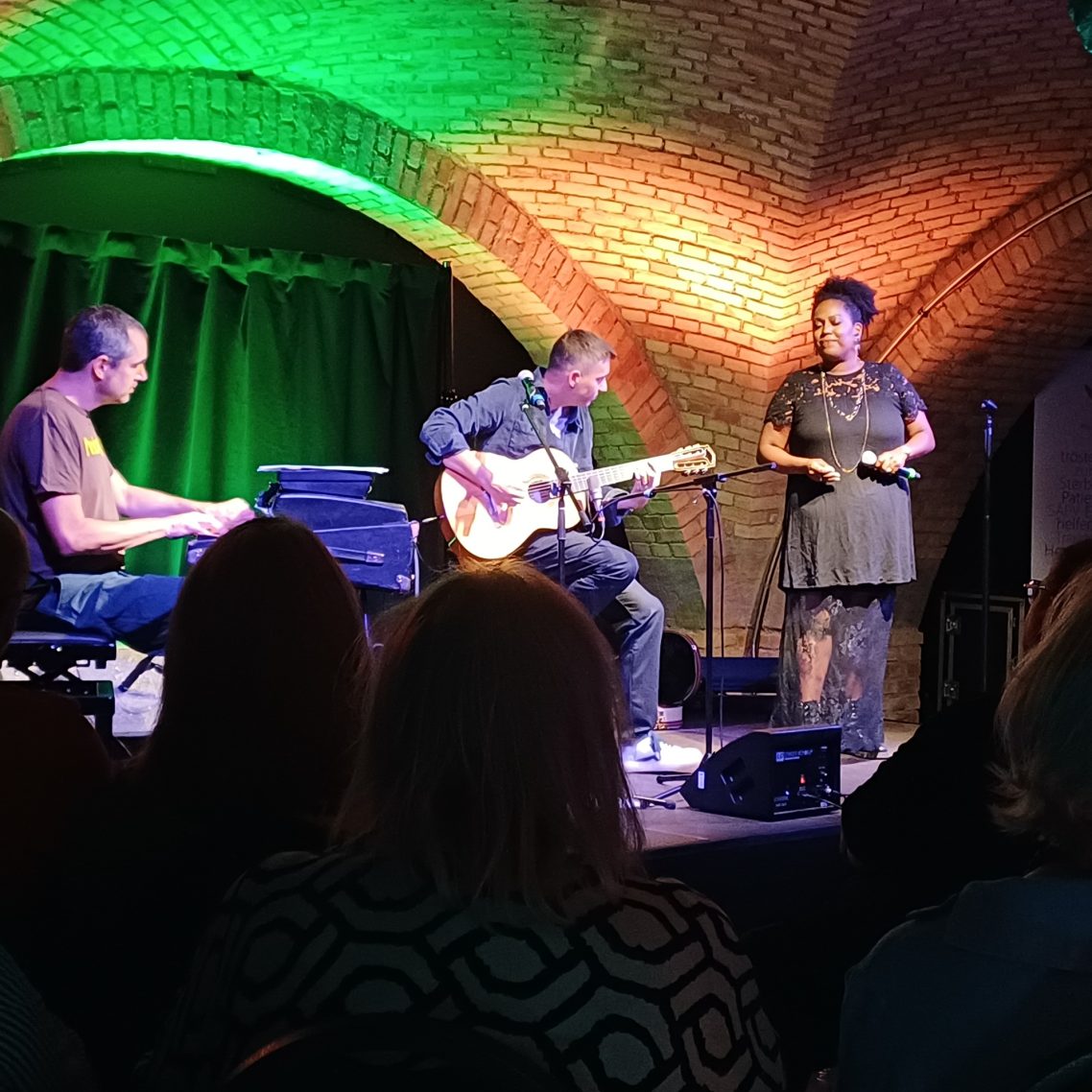 Benefizkonzert mit Menna Mulugeta, Ulf Kleiner und Daniel Stelter Menna Mulugeta, Ulf Kleiner und Daniel Stelter in Aktion