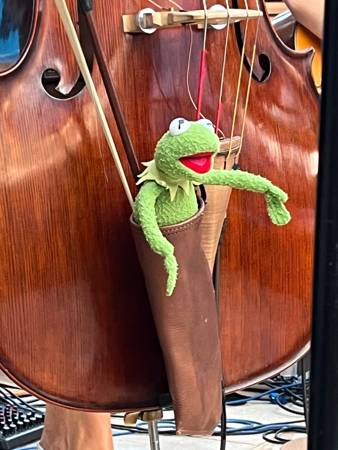 Musik im Garten 2026 - „Mme Brell & die Filous“ Frosch im Kontrabass